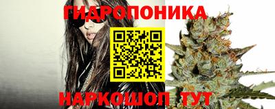 крисы Заводоуковск