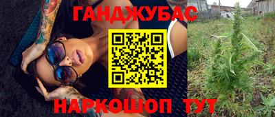 крисы Заводоуковск