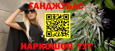 крисы Заводоуковск