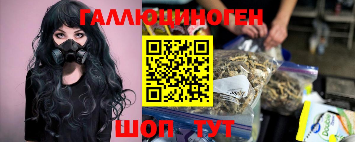 Конаково  Галлюциногенные грибы Cubensis  Вход с VPN  Псилоцибиновые грибы мицелий 